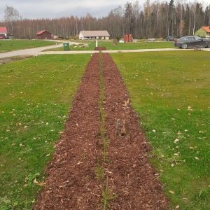 31E6DD22-02BB-4BF9-A4F0-1BE5C0BF7712_1_105_c