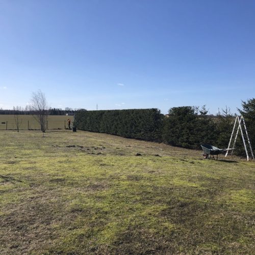 758AA18D-958B-4425-BA9F-604BC91C3999_1_105_c