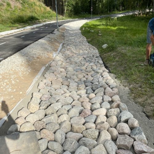 784F8B6E-6785-4F8E-B18A-5C9570C9D175_1_105_c