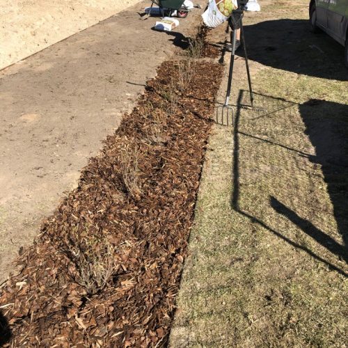 F62751DA-3324-42D8-B5F3-C5A5CA5A4978_1_105_c