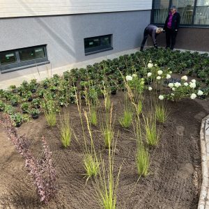 lillepeenra-rajamine-istutamine-tartu